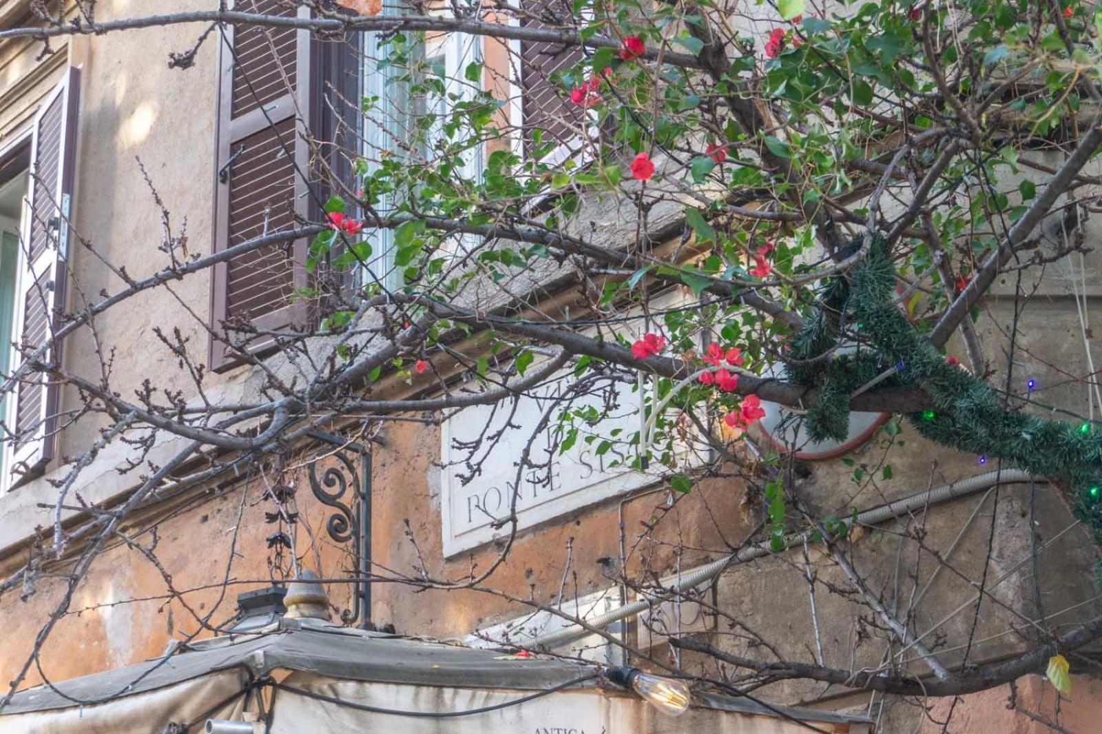 רומא Lusso E Panorama Senza Paragoni, Loft Trastevere מראה חיצוני תמונה